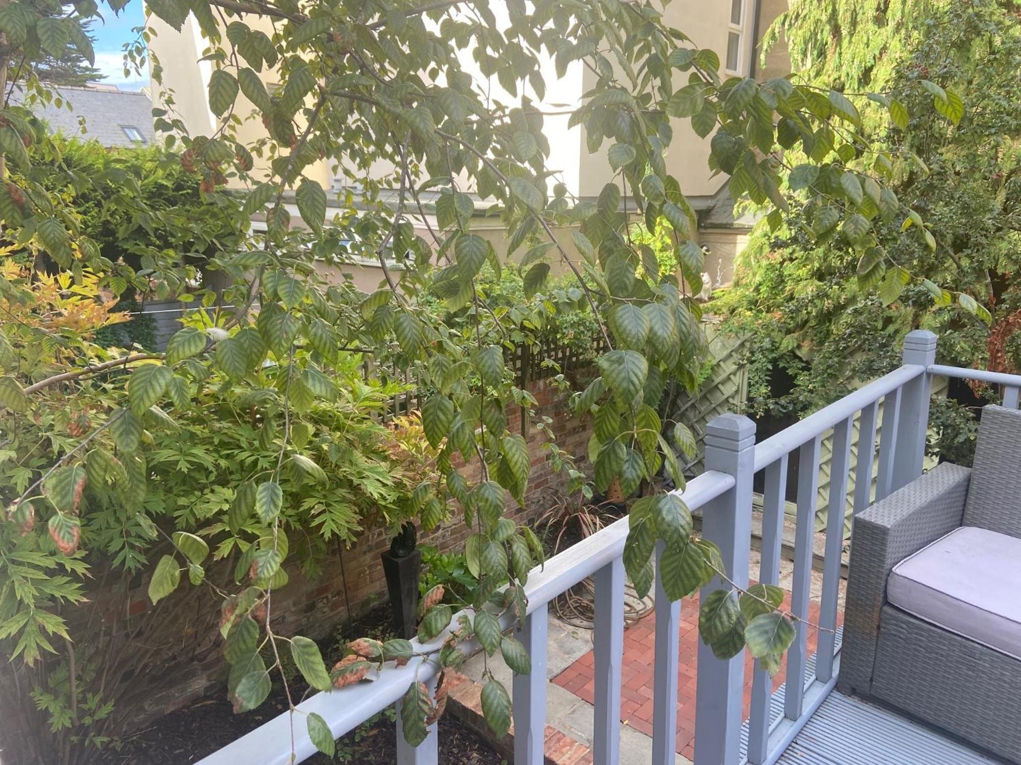 Town Centre Garden Retreat Apartment Cheltenham Ngoại thất bức ảnh